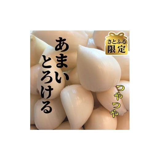 ふるさと納税 野菜類 薬味 青森県 十和田市 テレビ紹介 日本一の産地・青森十和田 王様にんにく「白玉王」むき 1.3kg 1692311