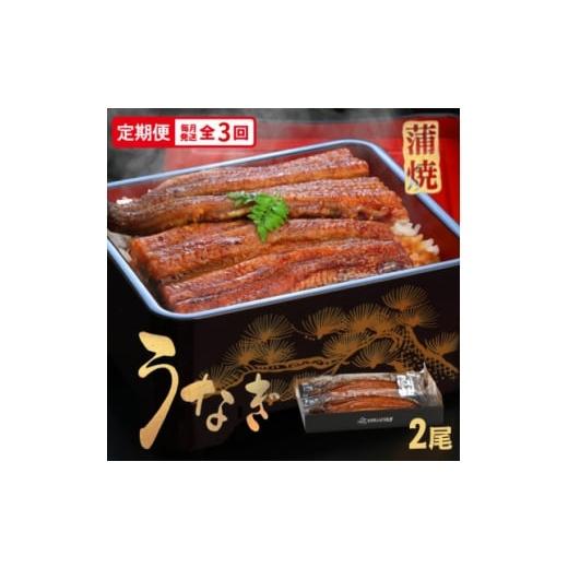 ふるさと納税 うなぎ 徳島県 藍住町 毎月定期便 うなぎ蒲焼2尾入り(化粧箱入り) 地元老舗うなぎ加工会社より真空でお届け全3回 4081407