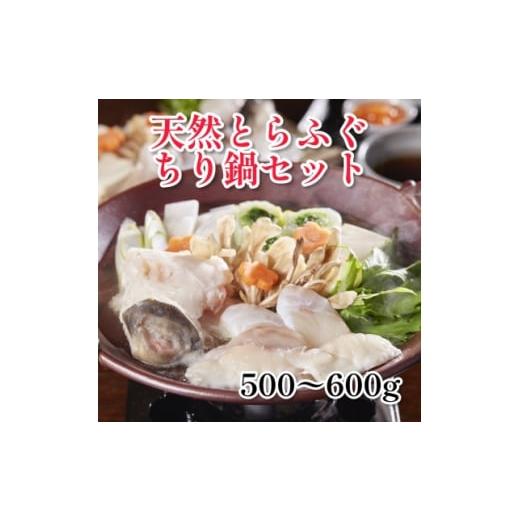 ふるさと納税 海鮮鍋 千葉県 いすみ市 天然とらふぐちり鍋セット 計500〜600g 1704152