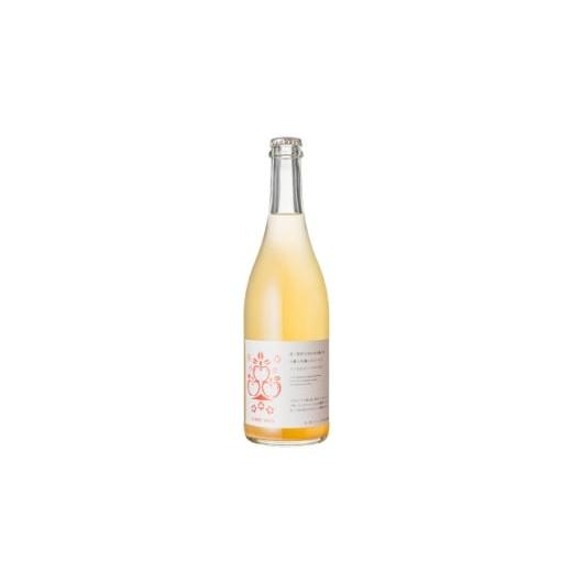 ふるさと納税 洋酒・リキュール類 宮城県 - 南三陸ワイナリー CIDRE 2024(750ml)シードル(辛口) 1678081