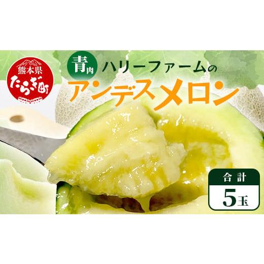 ふるさと納税 メロン メロン青肉 熊本県 多良木町 2026年5月上旬〜発送 アンデスメロン 青肉 5玉 (合計 約4.5〜5kg) 熊本県 多良木町産 果物 フルーツ メロン…