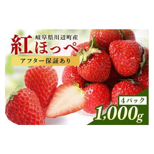 ふるさと納税 いちご 岐阜県 川辺町 期間・数量限定 (2026年2月18日(水)発送)岐阜県川辺町産いちご(紅ほっぺ)4パック( 一部地域配送不可)│苺 旬 フ…