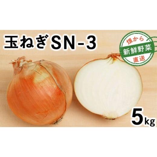 ふるさと納税 野菜類 玉ねぎ 北海道 岩見沢市 先行予約 畑から直送の新鮮野菜 玉ねぎ(SN-3)5kg 5kg