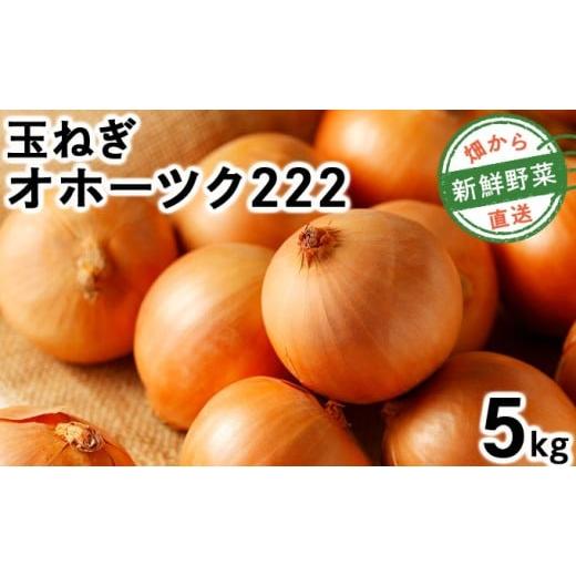ふるさと納税 野菜類 玉ねぎ 北海道 岩見沢市 先行予約 畑から直送の新鮮野菜 玉ねぎ(オホーツク222)5kg 先行予約 5kg