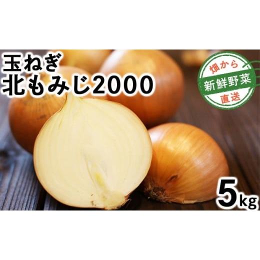 ふるさと納税 野菜類 玉ねぎ 北海道 岩見沢市 畑から直送の新鮮野菜 玉ねぎ(北もみじ2000)5kg 5kg