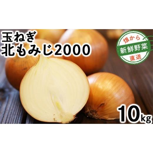 ふるさと納税 野菜類 玉ねぎ 北海道 岩見沢市  先行予約 畑から直送の新鮮野菜 玉ねぎ（北もみじ2000）10kg 10kgの画像
