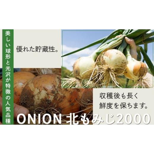 ふるさと納税 野菜類 玉ねぎ 北海道 岩見沢市  先行予約 畑から直送の新鮮野菜 玉ねぎ（北もみじ2000）10kg 10kgの画像