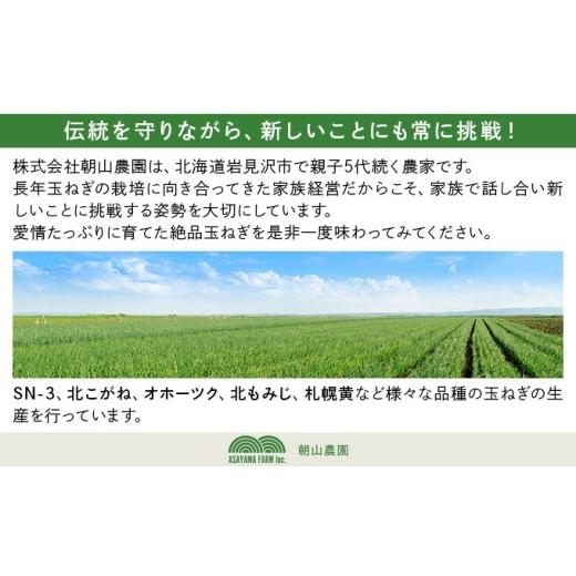 ふるさと納税 野菜類 玉ねぎ 北海道 岩見沢市  先行予約 畑から直送の新鮮野菜 玉ねぎ（北もみじ2000）10kg 10kgの画像