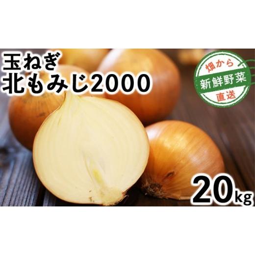 ふるさと納税 野菜類 玉ねぎ 北海道 岩見沢市  先行予約 畑から直送の新鮮野菜 玉ねぎ（北もみじ2000）20kg 20kgの画像