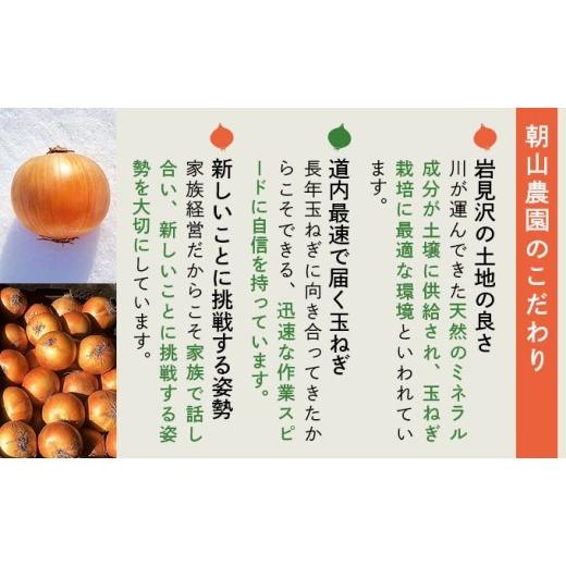 ふるさと納税 野菜類 玉ねぎ 北海道 岩見沢市  先行予約 畑から直送の新鮮野菜 玉ねぎ（北もみじ2000）20kg 20kgの画像