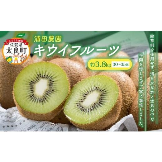ふるさと納税 果物類 佐賀県 太良町 体が喜ぶ キウイフルーツ 30〜35個(約3.8kg) バラ詰め合わせ スタンドパック 6袋付き 2026年4月上旬まで順次発送予定 …