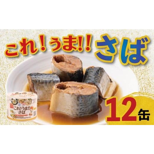 ふるさと納税 缶詰・瓶詰 魚貝類 千葉県 銚子市 缶詰 12缶 これ うま さば さば 鯖 缶詰 詰め合わせ 缶詰め 缶詰めセット 常温 常温食品 つゆ ヤマサ 醤油 魚 …