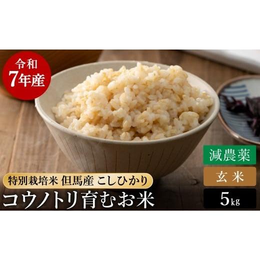 ふるさと納税 米 コシヒカリ 兵庫県 豊岡市 令和7年産 減農薬 玄米 特別栽培米 5kg コウノトリ育むお米 但馬産 こしひかり 兵庫県産 (5kg×1袋) 減農薬 お米 5…