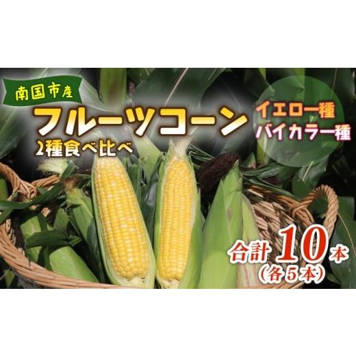 ふるさと納税 とうもろこし 高知県 南国市 2026年先行予約 南国フルーツコーン 2種食べ比べ 10本(イエロー種、バイカラー種、各5本)| 2026年5月〜6月発送予…