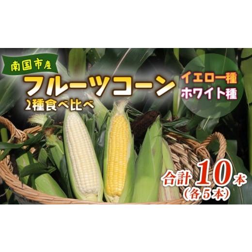 ふるさと納税 とうもろこし 高知県 南国市 2026年先行予約 南国フルーツコーン 2種食べ比べ 10本(イエロー種、ホワイト種、各5本)| 2026年5月〜6月発送予定…