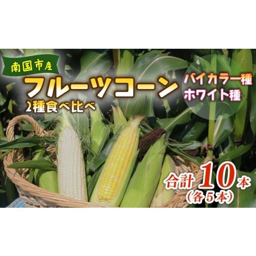 ふるさと納税 とうもろこし 高知県 南国市 2026年先行予約 南国フルーツコーン 2種食べ比べ 10本(バイカラー種、ホワイト種、各5本)| 2026年5月〜6月発送予…