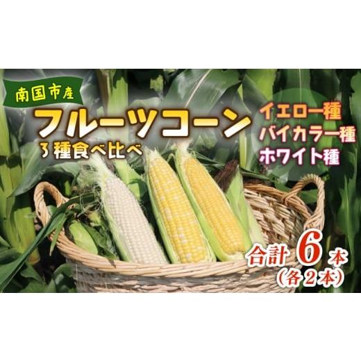ふるさと納税 とうもろこし 高知県 南国市 2026年先行予約 南国フルーツコーン 3種食べ比べ 6本(イエロー種、バイカラー種、ホワイト種、各2本)| 2026年5月…