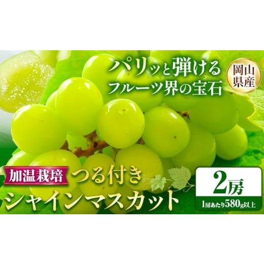 ふるさと納税 ぶどう マスカット 岡山県 笠岡市 先行予約 岡山県産 選べる つる付き シャインマスカット ハウス栽培(加温栽培) 2房 (580g以上) 有限会社ホー…