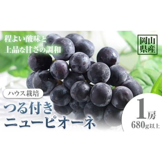 ふるさと納税 果物類 ぶどう 岡山県 笠岡市 先行予約 岡山県産 選べる つる付きニューピオーネ 1房 680g以上 ハウス栽培 有限会社ホーティカルチャー神島[7…