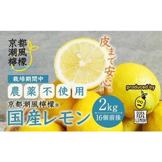 ふるさと納税 みかん・柑橘類 レモン 京都府 舞鶴市 京都潮風檸檬(R) 国産レモン 2kg(16個前後) 栽培期間中農薬不使用 皮まで安心 | 国産レモン 2kg 無農…