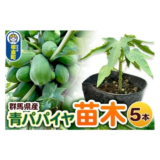 ふるさと納税 雑貨・日用品 苗木 群馬県 板倉町 果物 苗 青パパイヤ 苗木 5本 群馬県板倉町 3寸ポット