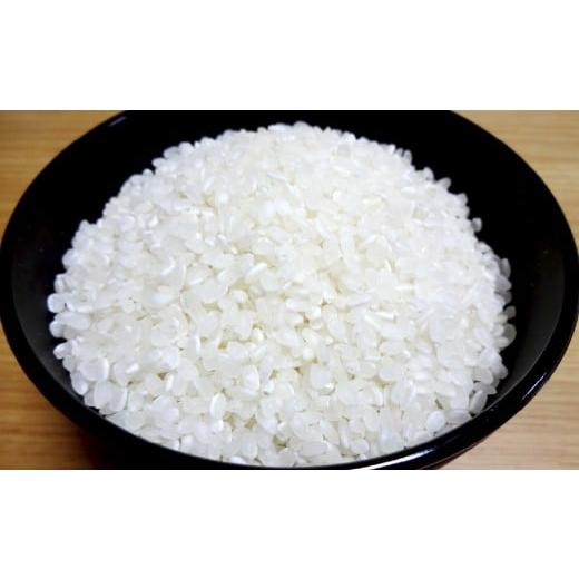 ふるさと納税 米 熊本県 あさぎり町 令和7年産 「くまさんの輝き」 5kg 精米 コメ 米 お米 熊本県産 ごはん 白米 国産 九州 熊本県 あさぎり町 2026年5月下旬…