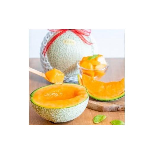 ふるさと納税 メロン メロン赤肉 沖縄県 宮古島市 とみお農園|農家直送 宮古島産 赤肉メロン 2玉(1玉2kg以上・糖度14度以上)2026年春発送(TN04)