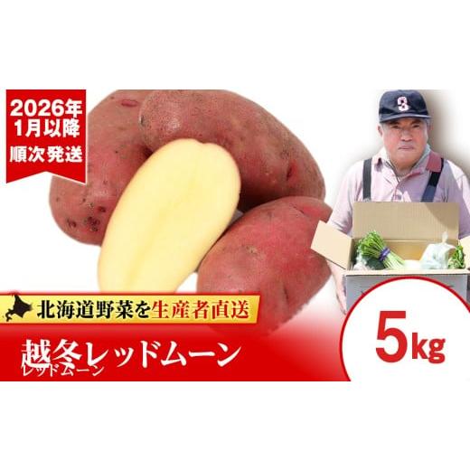 ふるさと納税 野菜類 じゃがいも 北海道 千歳市 2026年発送 越冬じゃがいも レッドムーン 5kg