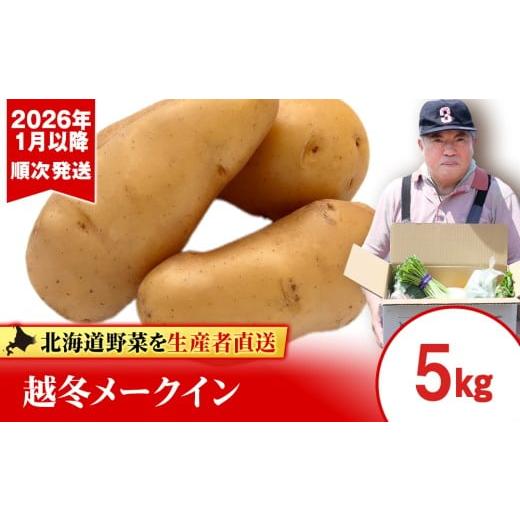 ふるさと納税 野菜類 じゃがいも 北海道 千歳市 2026年発送 「越冬じゃがいも」 メイクイーン 5kg(1月以降順次発送)