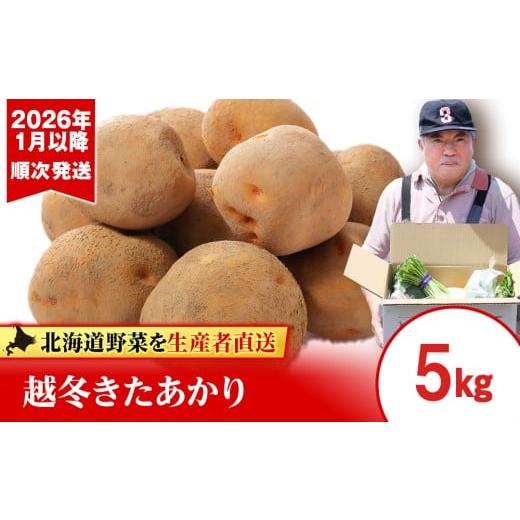ふるさと納税 野菜類 じゃがいも 北海道 千歳市 2026年発送 越冬じゃがいも きたあかり 5kg