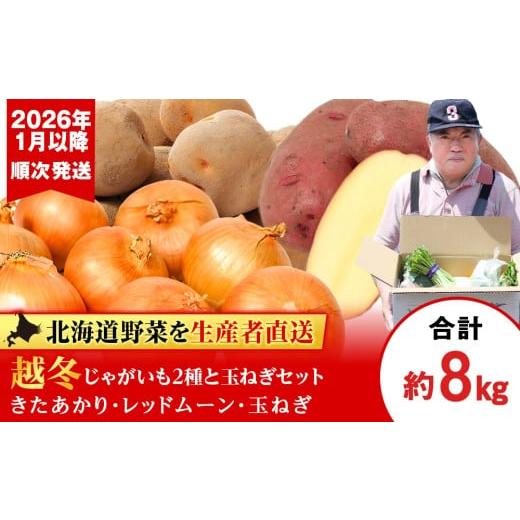 ふるさと納税 野菜類 じゃがいも 北海道 千歳市 2026年発送 産地直送「越冬じゃがいも」食べ比べ2種各2kg&「たまねぎ」4kgセット(1月以降順次発送)