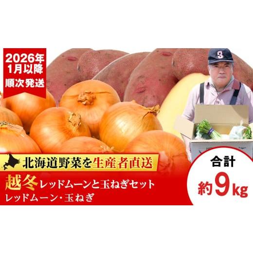ふるさと納税 野菜類 じゃがいも 北海道 千歳市 2026年発送 産地直送「越冬じゃがいも」レッドムーン5kg&「越冬たまねぎ」4kgセット(1月以降順次発送)