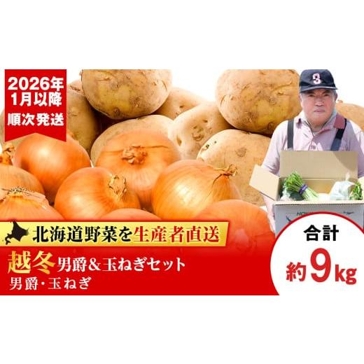 ふるさと納税 野菜類 じゃがいも 北海道 千歳市 2026年発送 産地直送「越冬じゃがいも」男爵5kg&「越冬たまねぎ」4kgセット(1月以降順次発送)