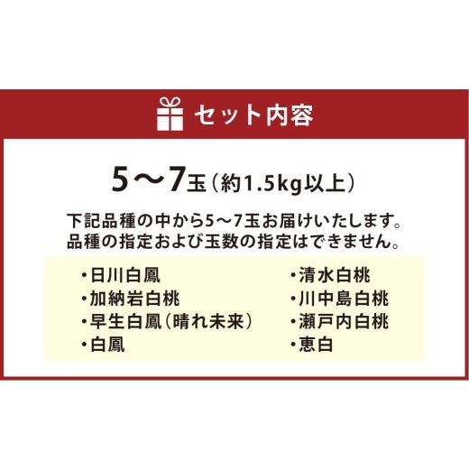 ふるさと納税 もも 岡山県 倉敷市  ご家庭用 岡山白桃 5〜7玉（約1.5kg以上） 2026年6月下旬〜8月下旬発送予定 白桃 桃 もも フルーツ くだもの 果物 果実 デ…の画像