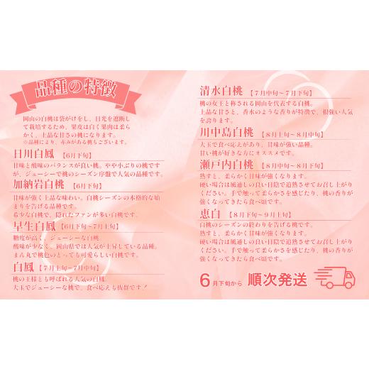 ふるさと納税 もも 岡山県 倉敷市  ご家庭用 岡山白桃 5〜7玉（約1.5kg以上） 2026年6月下旬〜8月下旬発送予定 白桃 桃 もも フルーツ くだもの 果物 果実 デ…の画像
