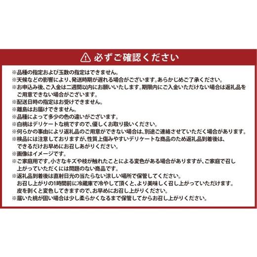 ふるさと納税 もも 岡山県 倉敷市  ご家庭用 岡山白桃 5〜7玉（約1.5kg以上） 2026年6月下旬〜8月下旬発送予定 白桃 桃 もも フルーツ くだもの 果物 果実 デ…の画像