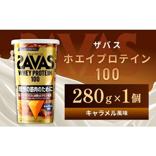 ふるさと納税 加工品等 岡山県 倉敷市 ホエイプロテイン100 キャラメル風味 280g 1個 プロテイン タンパク質 たんぱく質 ビタミン キャラメル 筋トレ 筋肉 ト…