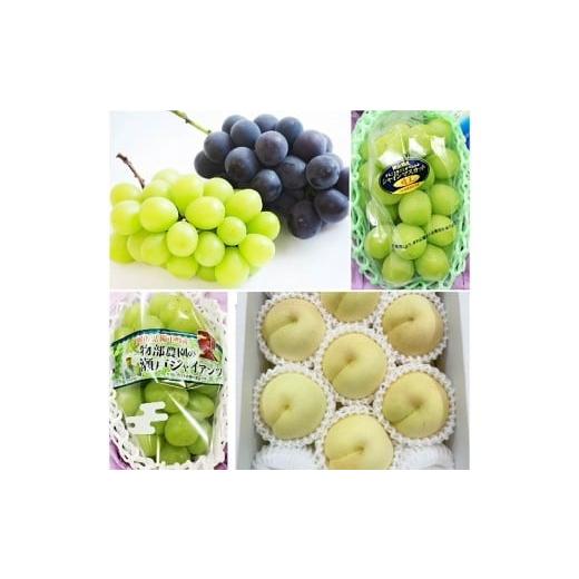 ふるさと納税 ぶどう マスカット 岡山県 奈義町 4回定期便 シャインマスカット・ニューピオーネ・瀬戸ジャイアンツ・岡山冬桃がたり 2026年9月上旬より順次発…