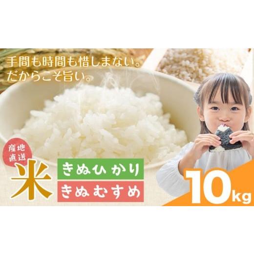 ふるさと納税 米 きぬむすめ 和歌山県 岩出市 米 こめ きぬひかり きぬむすめ 10kg 東菜穀農園 [2025年9月下旬-3月末頃出荷] 和歌山県 岩出市 送料無料 お米…