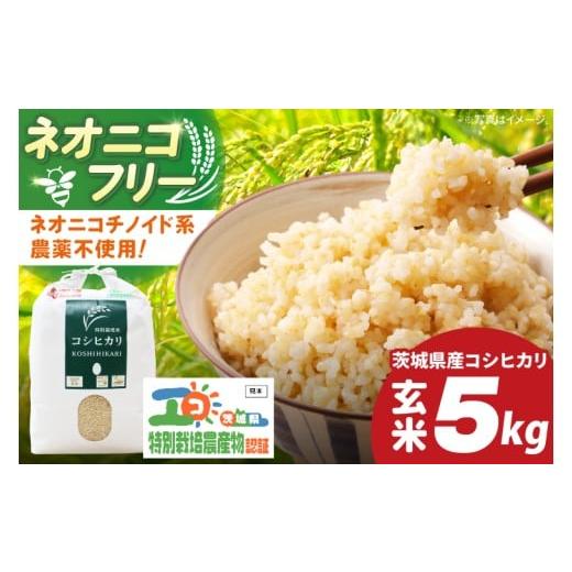 ふるさと納税 米 コシヒカリ 茨城県 阿見町 令和7年産 茨城県特別栽培米コシヒカリ ネオニコフリー玄米5kg|米 おこめ こしひかり 農家直送 直送 茨城県 阿見…