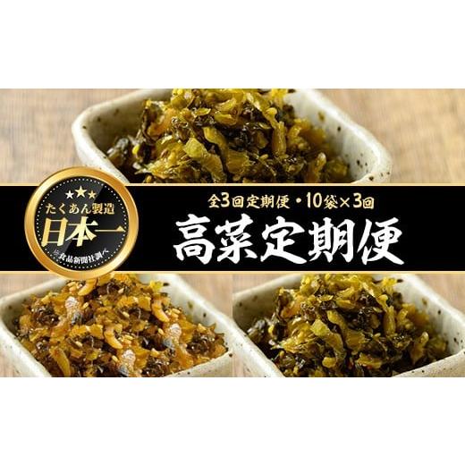 ふるさと納税 加工品等 漬物 鹿児島県 曽於市 定期便全3回 たかな3種定期便 (10袋×3回) 漬物 高菜 つけもの 曽於市観光協会