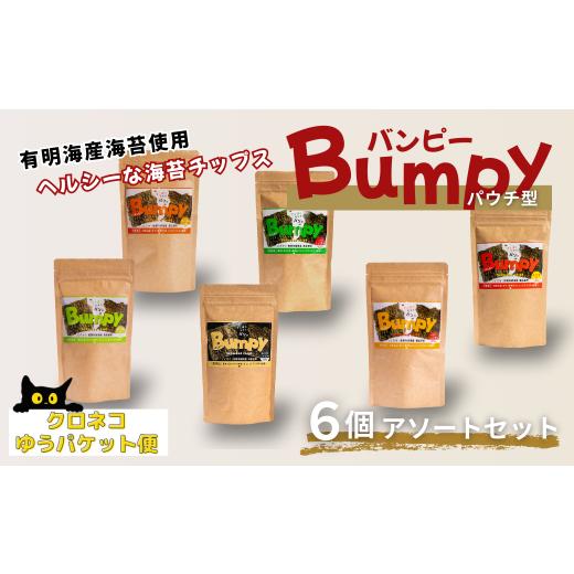 ふるさと納税 魚貝類 のり 佐賀県 佐賀市 有明海産海苔使用 ヘルシーな海苔チップス「Bumpy(バンピー)」パウチ型6個アソートセット クロネコゆうパケット利…