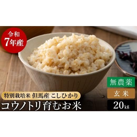 ふるさと納税 米 コシヒカリ 兵庫県 豊岡市 令和7年産 無農薬 玄米 20kg コウノトリ育むお米 但馬産 こしひかり 兵庫県産 (5kg×4袋) 無農薬 お米 20キロ 玄米…