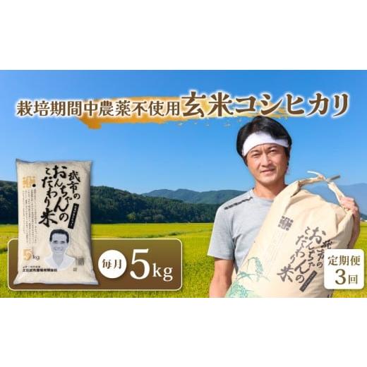 ふるさと納税 玄米 高知県 南国市 特別栽培米 栽培期間中農薬不使用 お米定期便 玄米 コシヒカリ 3回 数量限定 各 5キロ 5kg 令和7年度 米 コメ お米 ご飯 お…