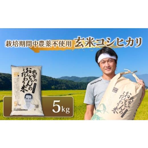 ふるさと納税 玄米 高知県 南国市 特別栽培米 栽培期間中農薬不使用 玄米 コシヒカリ 数量限定 5キロ 5kg 令和7年度 米 コメ お米 ご飯 おにぎり こめ 農家直…