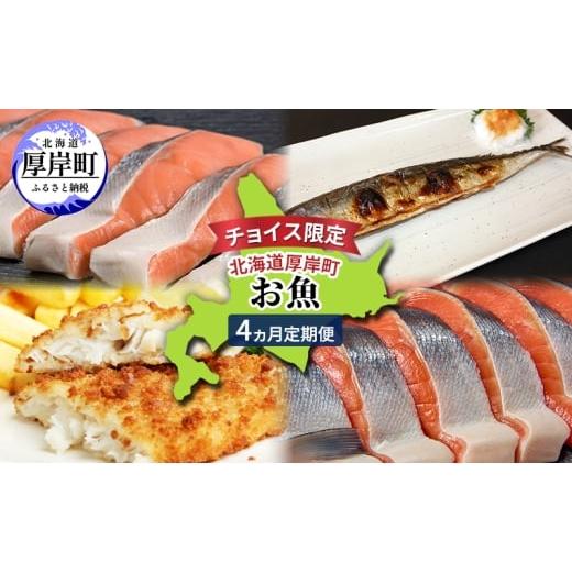 ふるさと納税 魚貝類 鮭 北海道 厚岸町 チョイス限定 北海道 厚岸町 お魚 4ヵ月 定期便 鮭 さけ サケ 時鮭 焼き魚 サンマ 秋刀魚 さんま 漬魚 魚 魚介類 加工…