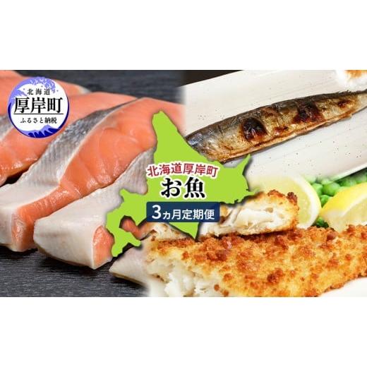 ふるさと納税 魚貝類 鮭 北海道 厚岸町 北海道 厚岸町 お魚 3ヵ月 定期便 鮭 さけ サケ 焼き魚 サンマ 秋刀魚 さんま 漬魚 魚 魚介類 加工食品  