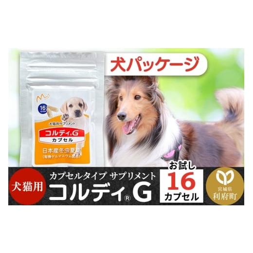 ふるさと納税 雑貨・日用品 宮城県 利府町 コルディG 16カプセル(犬猫用) 犬パッケージ
