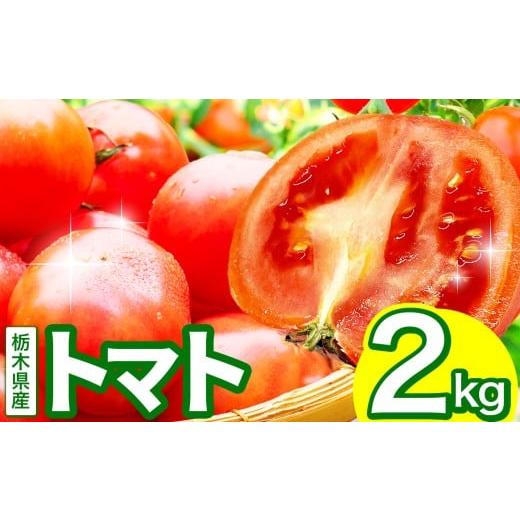 ふるさと納税 野菜類 トマト 栃木県 下野市 トマト 約2kg 株式会社 誠和が作るトマト | とまと 野菜 選べる内容量 旬野菜 とれたて 冬 春 人気 フレッシュ み…