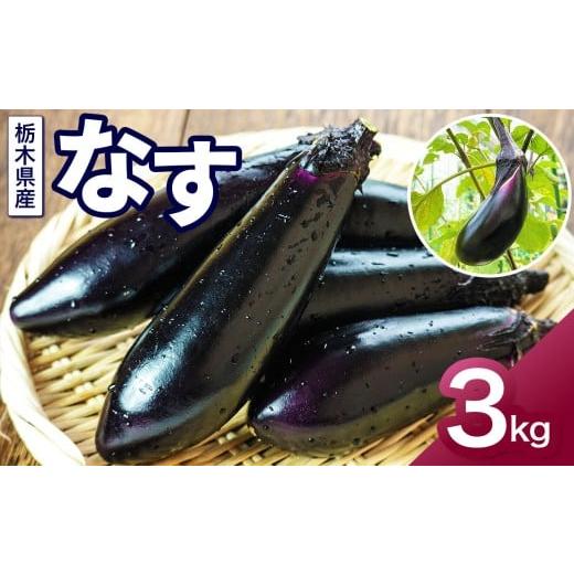 ふるさと納税 野菜類 茄子 栃木県 下野市 ナス 約3kg 株式会社 誠和が作るナス | なす 茄子ナス 美味しい 甘い みずみずしい とろける 食感 高品質 新鮮 栄養…